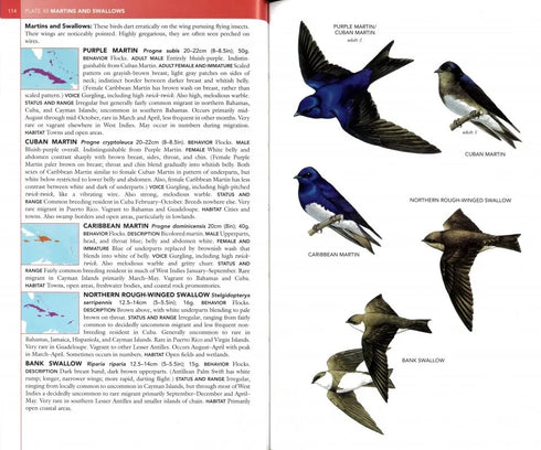 Birds of West Indies, kenttäversio - Raffaele ym. 2nd edition 2020